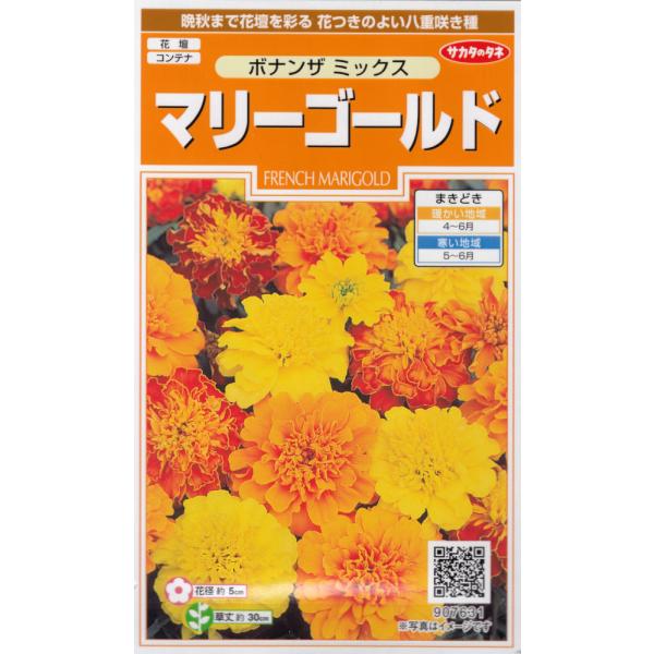 マリーゴールド 花壇」の人気商品一覧 | 安い商品を通販サイトから探す