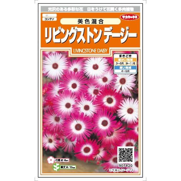 TJ^̃^l@rOXgf[W[F@0.2mlyXΉz