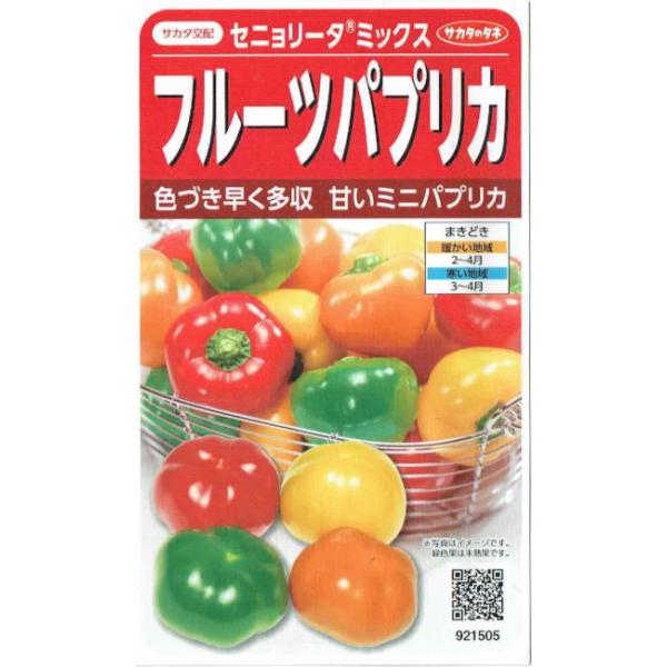 直径4〜5cmのミニパプリカ。果肉厚くジューシーな果実が開花後45日程度と早く色づき収穫できます。完熟すると糖度8度程度になります。各色均一混合しておりますが製品により発生する色に偏りが生じる場合がございます。