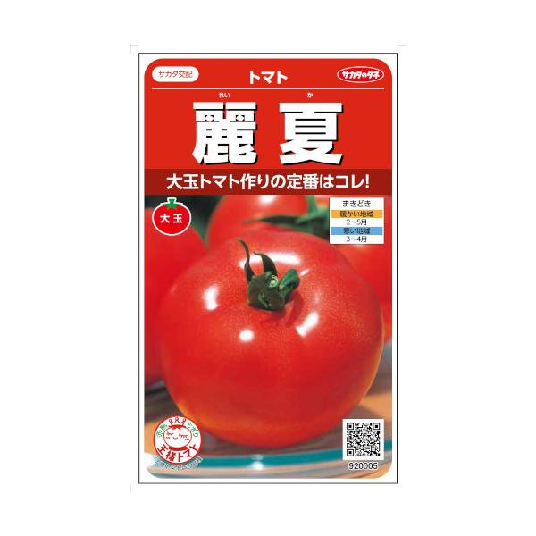 TJ^̃^l g}g  21yXΉz