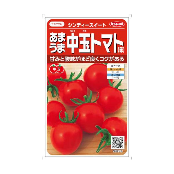 TJ^̃^l ܂ܒʃg}g VfB[XC[g 21yXΉz