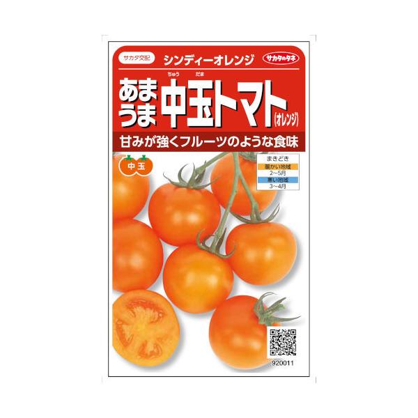果実の割れが少なく、1花房に約50gの実を8〜12個つけます。酸味が少ないので甘みが濃厚に感じられ、フルーツのような食感を楽しめるオレンジ色の中玉トマトです。<br><br>[【種子】][【野菜】][【果菜類】][【...