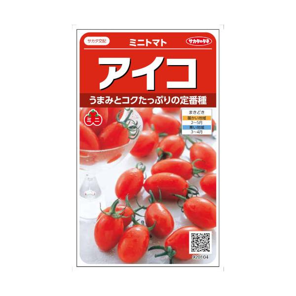 TJ^̃^l ~jg}g ACR 17yXΉz