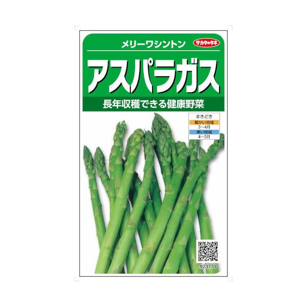 TJ^̃^l AXpKX [Vg 7mlyXΉz