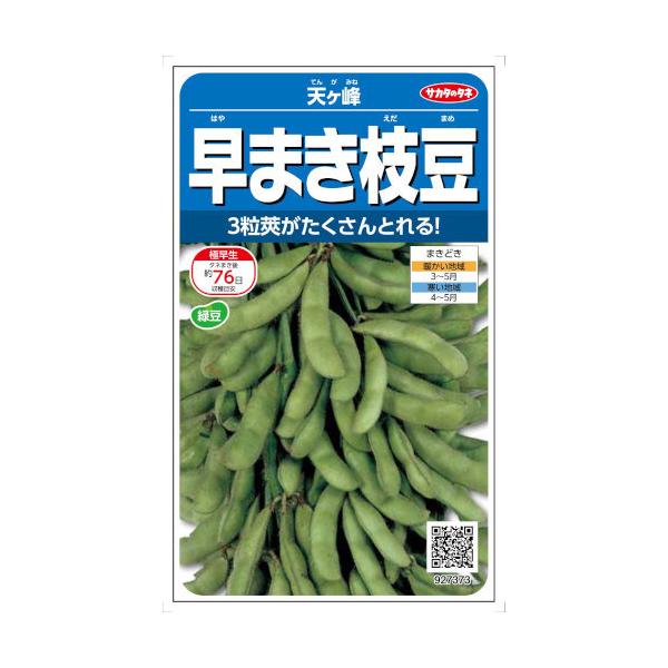 極早生では珍しく、3粒莢が多い収量性抜群の白毛エダマメです。トンネル栽培や露地の早まきに適し、プロの生産者もハウス栽培の早まきに使う品種です。<br><br>[【種子】][【野菜】][【豆類】][【枝豆・大豆】][J...