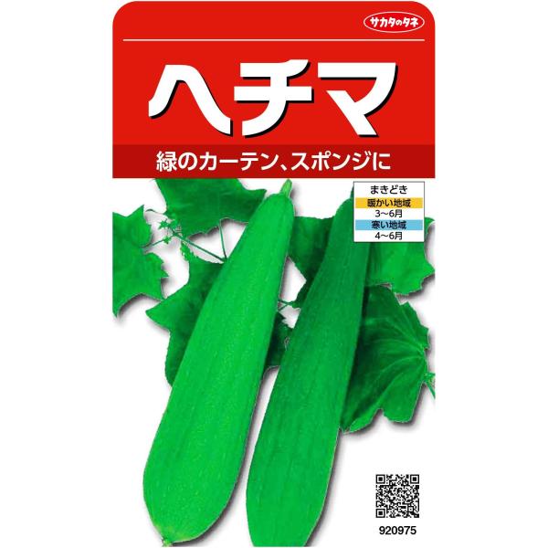 棚づくりにし、日よけと鑑賞で涼を楽しみます。果実は40〜60ｃｍになり、たくさんつきます。鑑賞の他、ヘチマ水や繊維をスポンジ代わりに利用します。※本品種は食用ではありません。<br><br>[【種子】][【野菜】][...