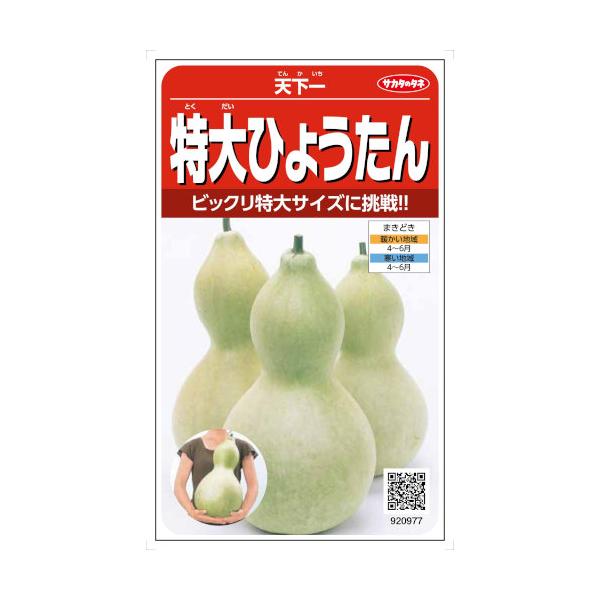 日よけ・観賞用のほか、果実を加工して置物やおもちゃにして楽しめます。果実は最大で長さ50cm以上になります。大ものを作るには1株1果とし、果実をネットや台で支えます。