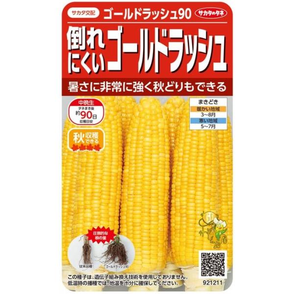 粒皮が極めてやわらかく、フルーツのような香り、さわやかな甘みがあります。先端までしっかり実がつきます。根量多く、がっしりと根を張るため、強風などに対して、非常に倒れにくいため安心して栽培できます。