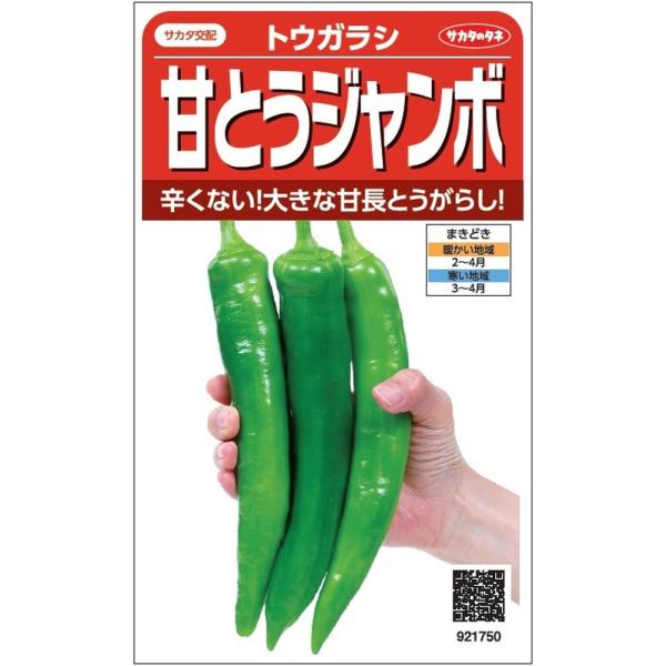 TJ^̃^lugEKV ÂƂW{ ṽ^l@[e:0.5ml]