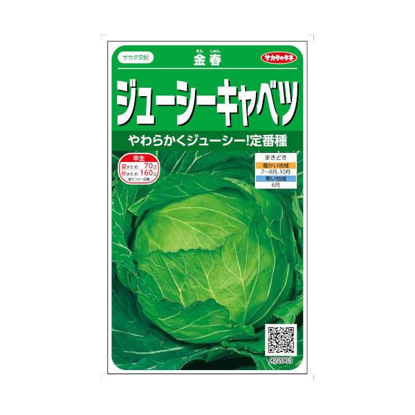 TJ^̃^l W[V[Lxc t 1mlyXΉz