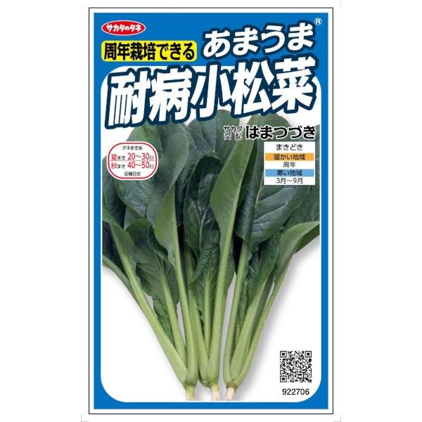 TJ^̃^l@N͔|ł邠܂ܑϕa ͂܂Â@10mlyXΉz