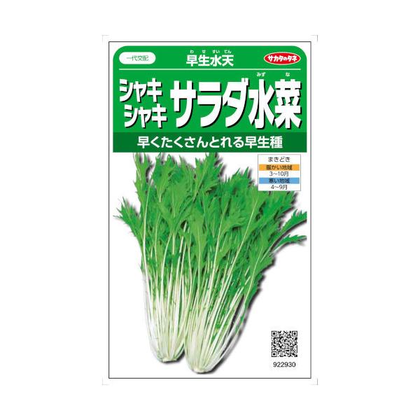 失敗なし 手間いらず 家庭菜園初心者におすすめの野菜12選 農業 ガーデニング 園芸 家庭菜園マガジン Agri Pick