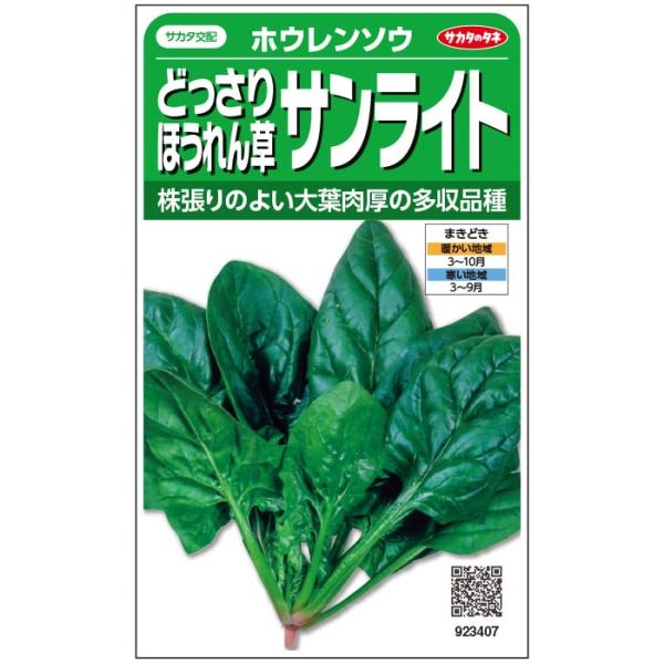 サカタのタネ どっさりほうれん草 サンライト 25ml【郵送対応】(ホウレンソウ) :sskv1088d4041:日光種苗ヤフー店 通販 カーボロネロ(クロキャベツ) Laciniato nero di