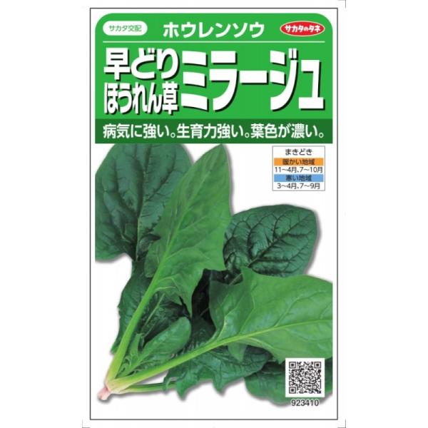 TJ^̃^l@zE\E@ǂق񂻂@~[W@25mlyXΉz