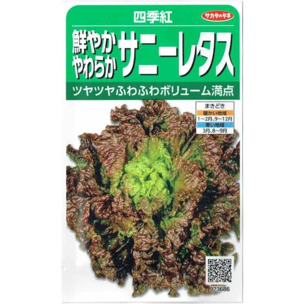 TJ^̃^l@^X N₩炩Tj[^XulGgṽ^l@3.5ml