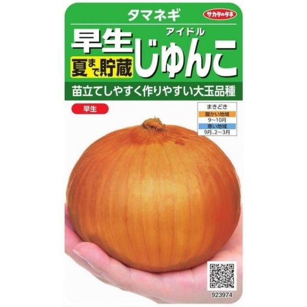 TJ^̃^l@^}lM@ACh񂱁@2.5mlyXΉz