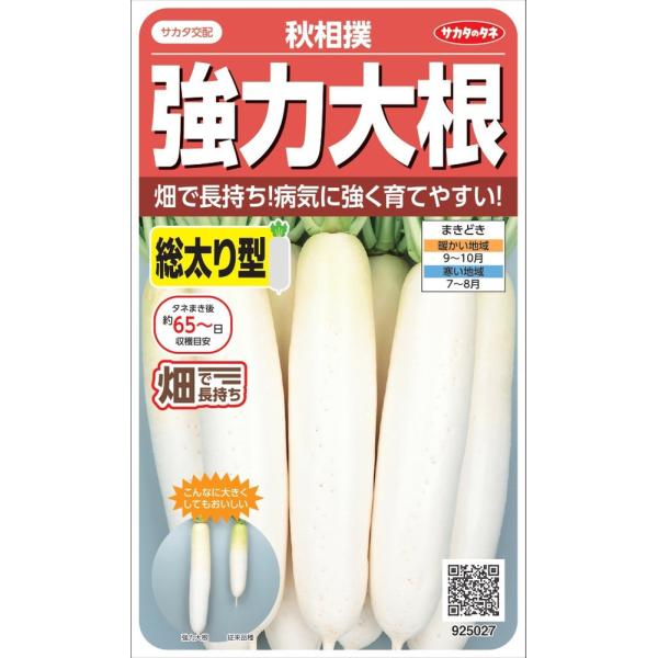 TJ^̃^l@͑卪uHoṽ^l@5ml