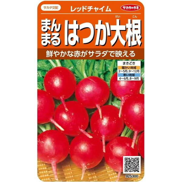 レットチャイム まんまるはつか大根 種