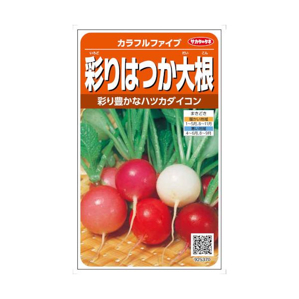 TJ^̃^l _CR ʂ͂卪 Jtt@Cu 6mlyXΉz