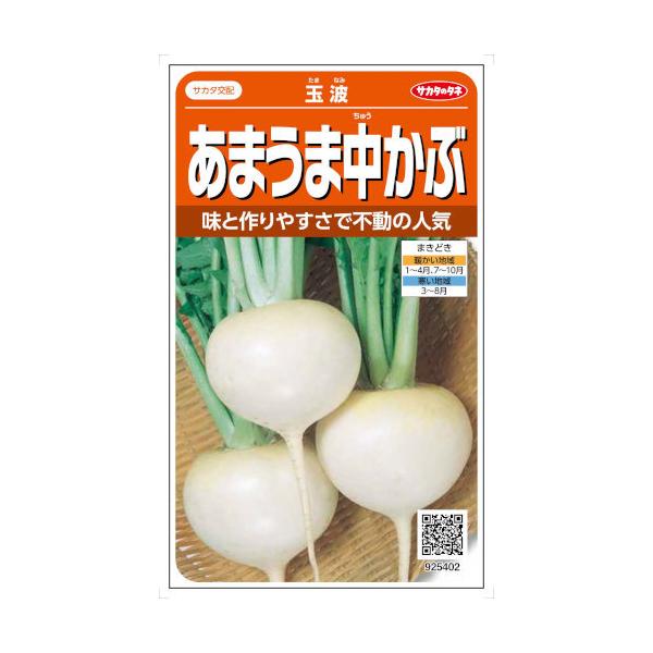 TJ^̃^l Ju ܂ܒ ʔg 4mlyXΉz