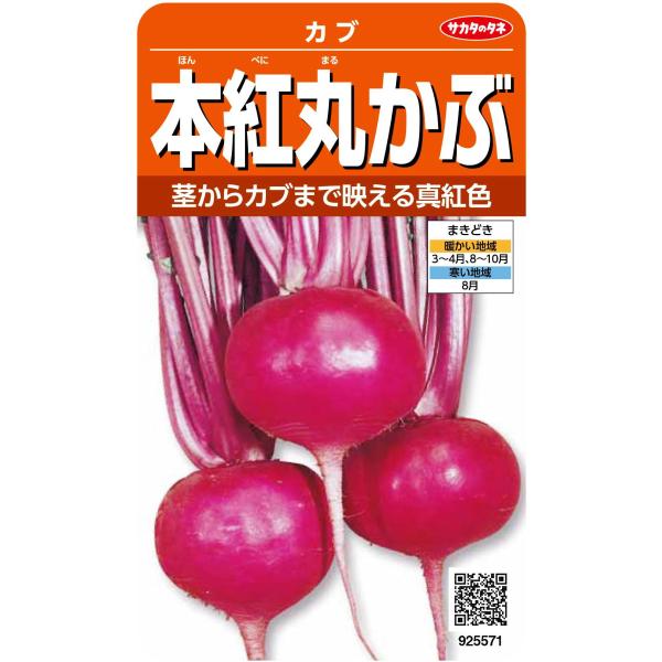 寒さに強く、生育旺盛でつくりやすく、根の皮から葉、茎まで鮮紅色の赤カブです。肌はなめらか、根の内部は白色でち密な肉質で甘みがあり、酢漬け・塩漬けに適し、全体がきれいな紅色になります。<br><br>[【種子】][【野...