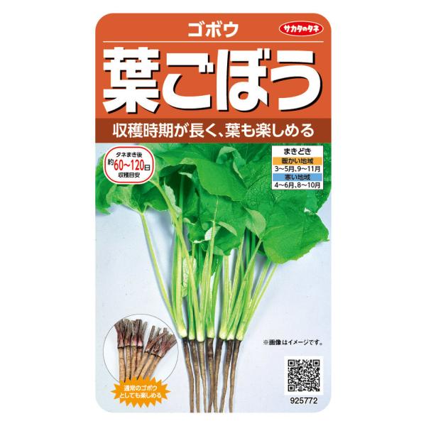 TJ^̃^l@S{E tڂ̃^lme:10mln