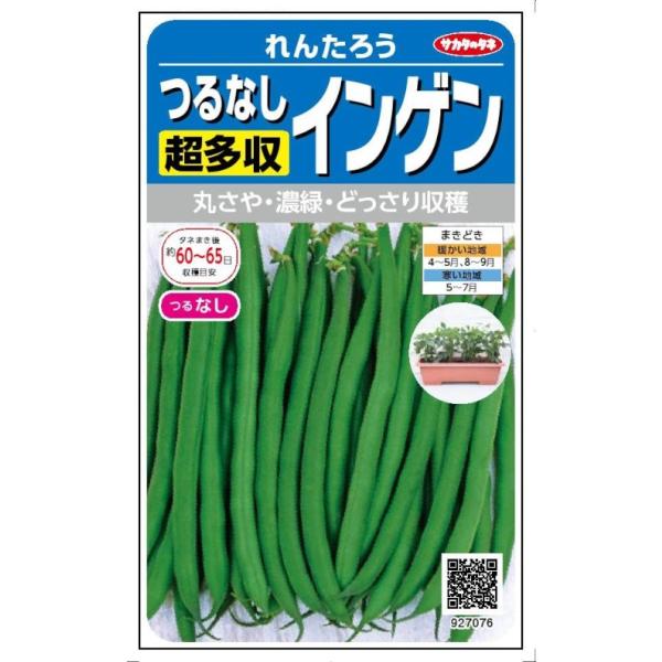 TJ^̃^l@ȂCQ@񂽂낤@20mlyXΉz