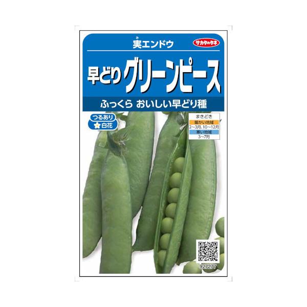 早くから収穫できる極早生品種です。草勢はおとなしく、草丈180cm程に育ちます。実は鮮やかな緑色で、ふっくらとボリュームがあり、甘みが強く、豆ご飯や卵とじ、サラダなどにおすすめです。<br><br>[【種子】][【野...