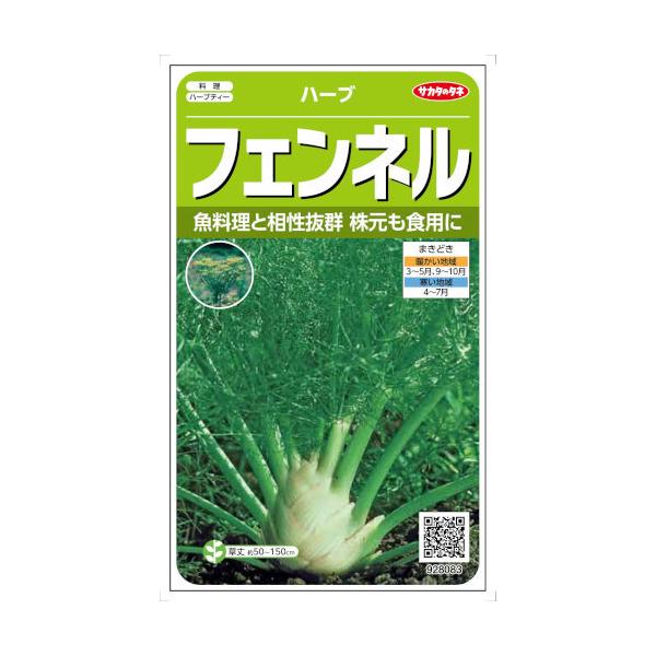 株元が肥大するフローレンスフェンネルです。「魚のハーブ」と呼ばれ魚介類を使った料理と相性がよく、世界中で利用されています。葉は風味づけ、肥大した株元はサラダ、タネは薬味・ハーブティー・菓子に利用できます。