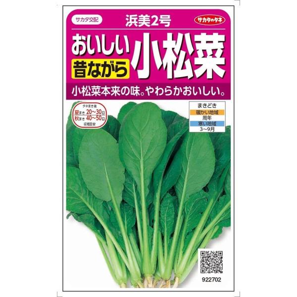 TJ^̃^l R}ci ̂Ȃ̏ lQ 10mlyXΉz