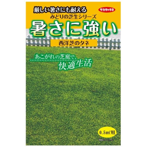 夏場のタネまきが可能で、生育旺盛です。耐塩性にも優れており、強健なほふく性のため再生力も強い西洋芝です。冬季は休眠し、春先に芽吹きます。<br><br>[【種子】][【グランドカバー】][JAN: ]