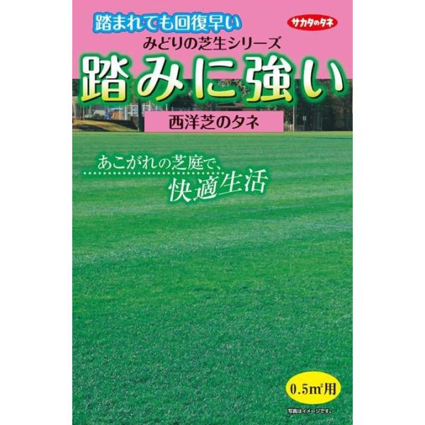 エンドファイトという、芝の植物体内に共生する菌の働きで耐虫性も強くなっていますので、適切な管理によって緑の芝生を長く楽しむことが可能です。<br><br>[【種子】][【グランドカバー】][JAN: ]