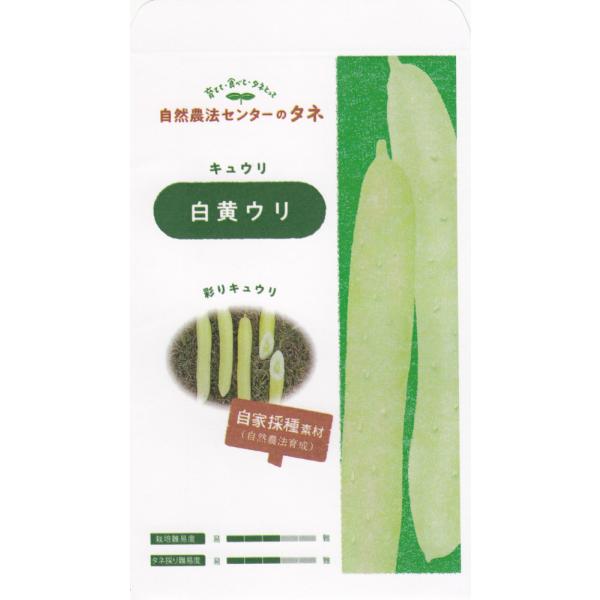 R_@Z^[uLE Eṽ^l@[e:10]