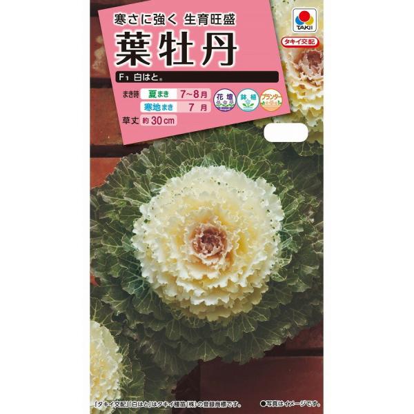 ^LCc@tO@͂Ɓ@0.5ml yXΉz