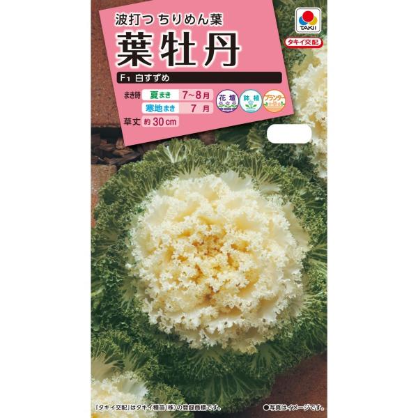 ^LCc@tO@߁@0.5ml yXΉz