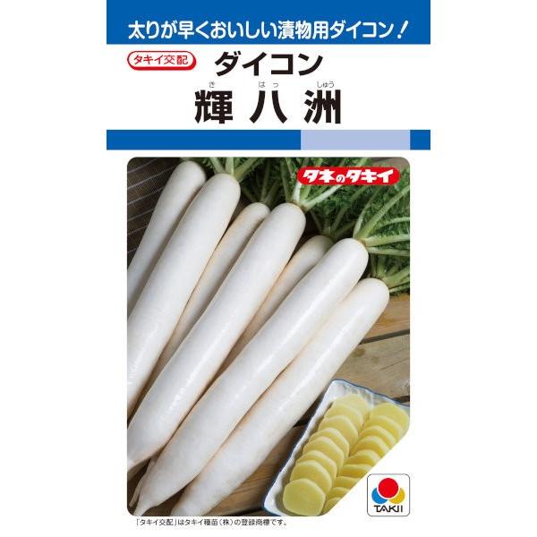 ^LCc@_CR@PF@14mlyXΉz