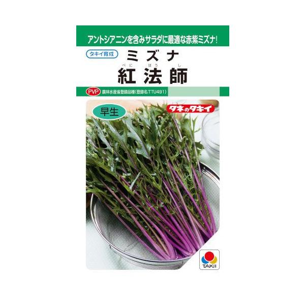 ^LCc@~Yi@g@t@5mlyXΉzyi햼FTTU491_o^ԍF22649z