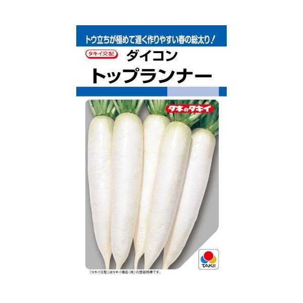 ^LCc _CR gbvi[ 3.5ml yXΉz