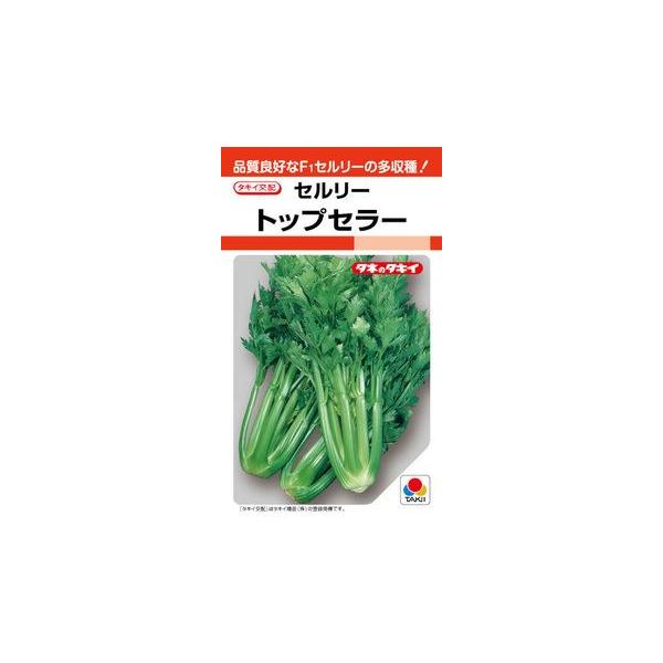 セロリ 苗の人気商品・通販・価格比較 - 価格.com セロリ 苗の人気商品・通販・価格比較 - 価格.com