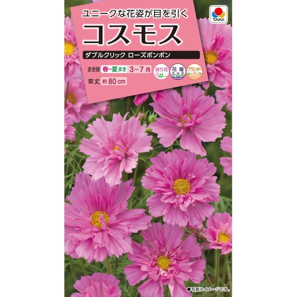 タキイ種苗 コスモス ダブルクリック ローズボンボン 1.2ml 【郵送対応