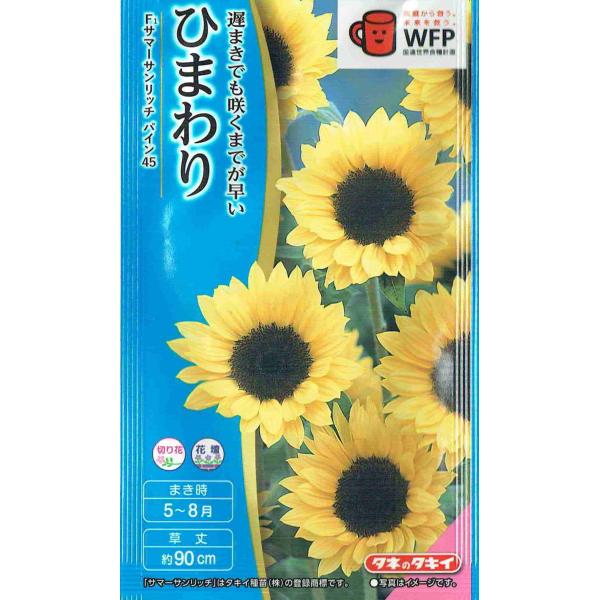 nikkoseed2012_sta1205269031