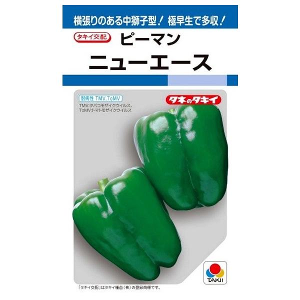 ^LCc@s[}@j[G[X@60yXΉz