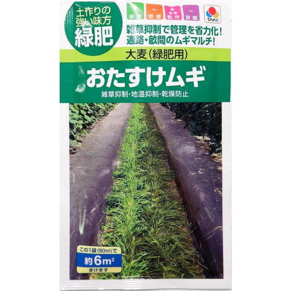 発芽初期生育が早く、早期に地表を被覆します。枯れ上がりが早いため、主作物と競合しにくいです。自然に枯死するため、片付けの手間がかかりません。