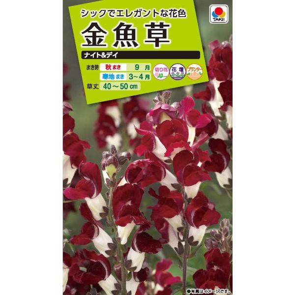 ^LCc@@iCgfC@0.05mlyXΉz