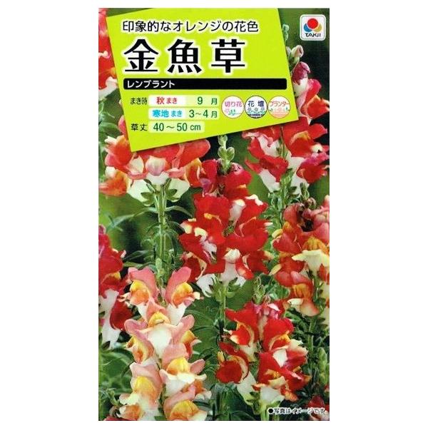 ^LCc@@ug@0.05mlyXΉz