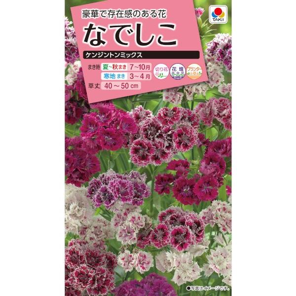 ^LCc@Ȃł@PWg~bNX@0.1mlyXΉz