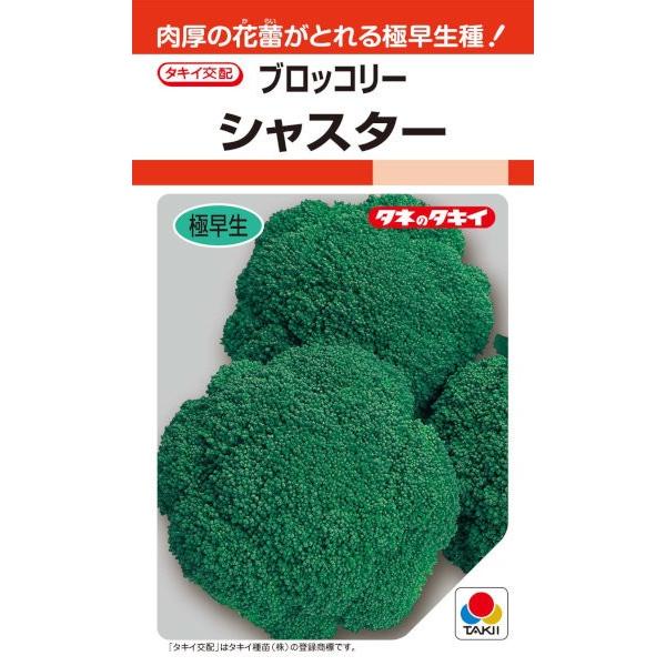 ^LCc@ubR[@VX^[@0.7mlyXΉz