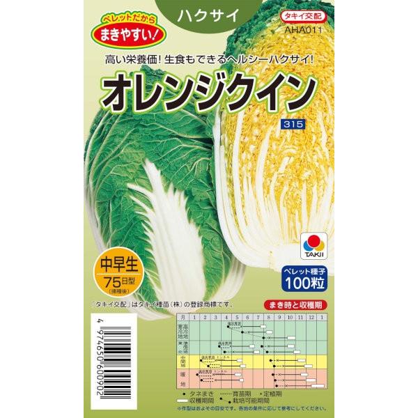 結球内部の色が鮮やかな橙黄色で、栄養価にすぐれる。タネまき後75日余りで2.5kg、日をおけば3.0kgに太る中早生種。歯切れがよくて青臭みが少ないので、生食サラダ用にも利用可能。