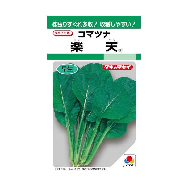 小松菜 苗の人気商品・通販・価格比較 - 価格.com 小松菜 苗の人気商品・通販・価格比較 - 価格.com