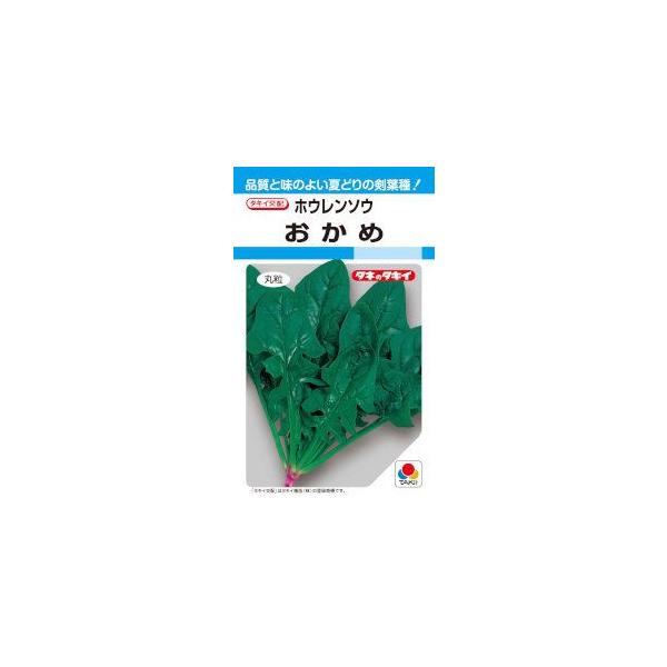 ^LCc@zE\E@ 22ml yXΉz